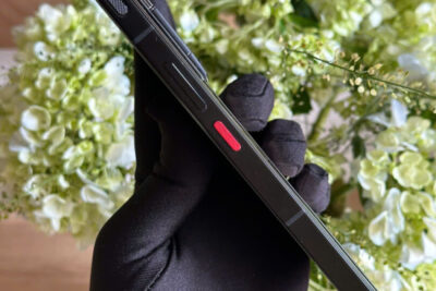 Metavertu 2 Generation Cá Sấu Bạch Tạng Chính Hãng Đẹp 99%