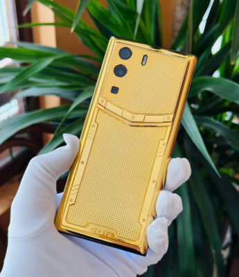 Metavertu 1 – Lưng Caro bọc vàng Full Lưng