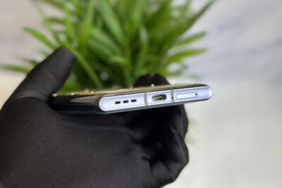 Metavertu 1 Mix Gold – Lưng da cá sấu bạch tạng